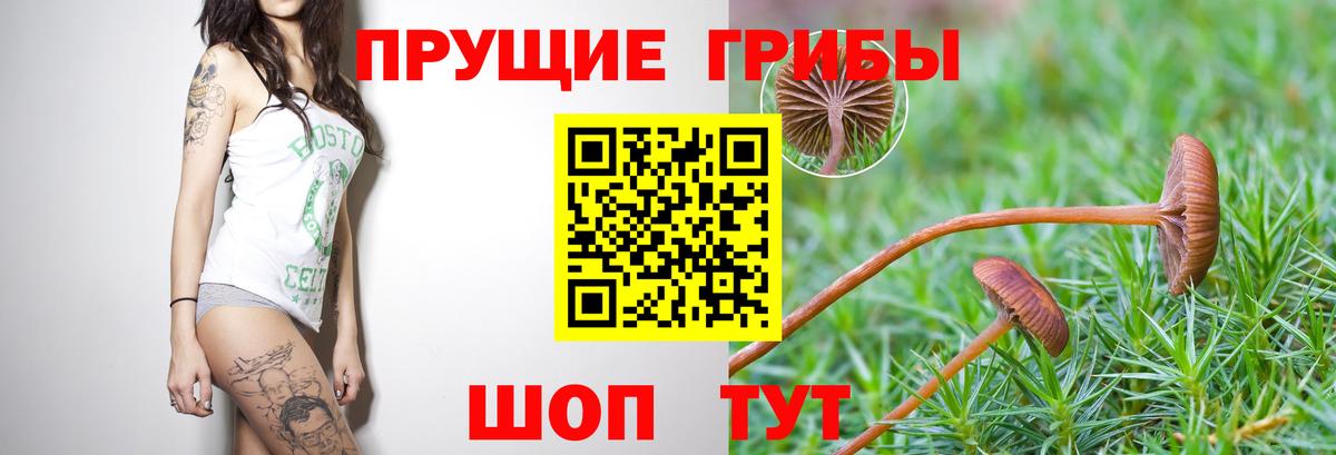 Псилоцибиновые грибы ЛСД Нижнекамск