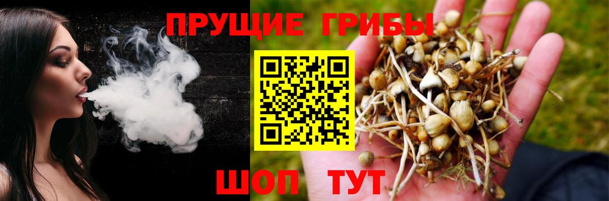 Псилоцибиновые грибы мухоморы  Вход с VPN  Нижнекамск 
